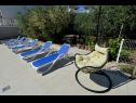 Apartments Olive Garden - swimming pool: A1(4), A2(4), A3(4), SA4(2), SA5(2) Biograd - Riviera Biograd  - garden