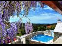 Holiday home Mari 1 - with pool: H(6+1) Donji Humac - Island Brac  - Croatia - view