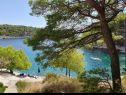 Apartments Ivano - 20 m from Sea: A1(6), A2(2+1), A3(2+1), A4(2), A5(2) Cove Osibova (Milna) - Island Brac  - Croatia - beach
