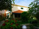 Apartments Ita 1 - with nice garden: A1 Ita (4), A2 Mariana (4), A3 Ivan (4+2) Postira - Island Brac  - garden (house and surroundings)