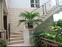 Apartments Damir - free parking : A1(4+2) Postira - Island Brac  - staircase (house and surroundings)