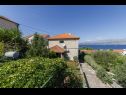 Apartments Ita 1 - with nice garden: A1 Ita (4), A2 Mariana (4), A3 Ivan (4+2) Postira - Island Brac  - sea view (house and surroundings)