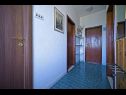 Apartments Pavo - 80 m from beach: A1(5) Postira - Island Brac  - Apartment - A1(5): hallway
