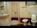 Apartments DeMar - 70m from sea: A1-crveni(4), A2-zeleni(3), A3-plavi(3) Splitska - Island Brac  - Apartment - A1-crveni(4): bathroom with toilet