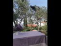 Holiday home Olive - 150 m from sea: H(4) Splitska - Island Brac  - Croatia - terrace view