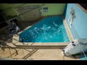 Holiday home Jaka 2 - with pool : H(6+2) Sumartin - Island Brac  - Croatia - swimming pool