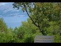 Holiday home Mare- close to the sea H(2) Cove Vela Lozna (Postira) - Island Brac  - Croatia - H(2): terrace