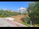 Apartments Ljuba - nice garden: A2(4+1) Plavi, A4(8+1), A1(2+2) Okrug Gornji - Island Ciovo  - house