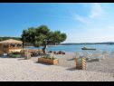 Apartments Ljilja - nice garden: A1(4) Fazana - Istria  - beach