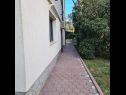 Apartments Ena - with free private parking: A1 Anthea (2+2), A2 Floki (2+2) Rovinj - Istria  - garden
