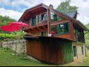 Holiday home Riverside house - beautiful nature: H(6) Zumberak - Continental Croatia - Croatia - house