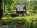 Holiday home Riverside house - beautiful nature: H(6) Zumberak - Continental Croatia - Croatia - house