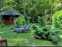 Holiday home Riverside house - beautiful nature: H(6) Zumberak - Continental Croatia - Croatia - vegetation