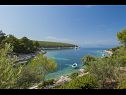 Holiday home Villa Bistrana - 15m from sea: H(4) Cove Tankaraca (Vela Luka) - Island Korcula  - Croatia - view