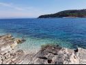 Holiday home Villa Bistrana - 15m from sea: H(4) Cove Tankaraca (Vela Luka) - Island Korcula  - Croatia - beach