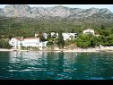 Apartments Bale - right at the beach: A1 Plaza(4) Brist - Riviera Makarska  - house