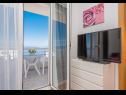 Apartments Ivi - 100 m from pebble beach: A1(2+2), A2(2+2), A3(2+2), A4(4+4), A5(2+2) Drasnice - Riviera Makarska  - Apartment - A1(2+2): balcony