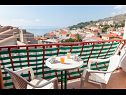 Apartments Nataša -100m from sea: A1(5), A2(9) Podgora - Riviera Makarska  - Apartment - A1(5): terrace