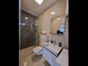 Apartments Gogi - 100 m from beach: A6(4+1), A1(2+1), A2(2+1), A8(4+2) Zivogosce - Riviera Makarska  - Apartment - A8(4+2): bathroom with toilet