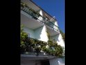 Apartments Zorica - with view: A1(4+1), SA2(2+1), SA3(2+1), SA4(2+1), A5(10+1) Marusici - Riviera Omis  - house