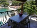 Apartments Primo - sea view: A1(2+1), A2(4), A3(4), A4(3+1) Cove Banje (Rogac) - Island Solta  - Croatia - Apartment - A3(4): terrace view