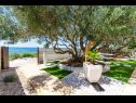 Holiday home Bože - 10m from the sea: H(10+2) Drvenik Mali (Island Drvenik Mali) - Riviera Trogir  - Croatia - garden