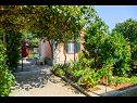 Holiday home Mirjana - beautiful garden with barbecue: H(4+1) Trogir - Riviera Trogir  - Croatia - garden
