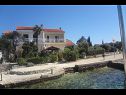 Apartments Andri - 5 m from the beach : A1(4), A2-donji(2+2) Petrcane - Zadar riviera  - house
