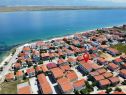 Apartments Gavro - 20 m from the sea: A1(4), A2 (2+2) Vir - Zadar riviera  - house