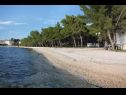 Apartments Eddie - great location & comfor: A1(4), A2(4), A3(4), A4(4) Zadar - Zadar riviera  - beach