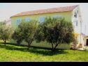 Apartments Mir - family apartments with garden terrace A1(4), A2(2) Zaton (Zadar) - Zadar riviera  - house