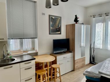 Apartments Ines - cozy studio apartment SA1(2)  Zagreb - Continental Croatia