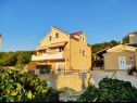 Apartments Ivano - 20 m from Sea: A1(6), A2(2+1), A3(2+1), A4(2), A5(2) Cove Osibova (Milna) - Island Brac  - Croatia - house