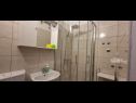Apartments Ivano - 20 m from Sea: A1(6), A2(2+1), A3(2+1), A4(2), A5(2) Cove Osibova (Milna) - Island Brac  - Croatia - Apartment - A3(2+1): bathroom with toilet