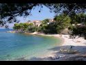 Apartments Pavlo - beautiful sea view: A1(4) Postira - Island Brac  - beach