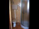 Apartments Vig - 60 m from beach: A1(5), A2(4) Povlja - Island Brac  - Apartment - A2(4): bathroom with toilet