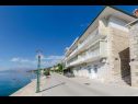 Apartments More - at the waterfront: A(3) Povlja - Island Brac  - house