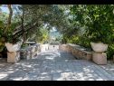 Holiday home Zlatna - with beautiful garden: H(6+1) Selca - Island Brac  - Croatia - courtyard