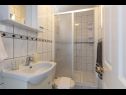 Apartments Rajna - 100 m from sea: A1 Crveni(2+2), A2 Veliki(4+2), A3 Crni(2+2), A4(6+2) Sumartin - Island Brac  - Apartment - A3 Crni(2+2): bathroom with toilet
