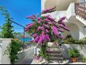 Apartments Lilac - 100m from pebble beach : A1(7) Arbanija - Island Ciovo  - house