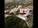 Apartments and rooms Villa Bouganvillea - sea view & garden: A1 Deluxe (2+1), A2 Superior (2+1), A3 Comfort (2+1), A4 Premium (2+1), R1 Deluxe (2), R2 Comfort (2) Mlini - Riviera Dubrovnik  - house