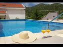 Holiday home Vedran - with beautiful lake view and private pool: H(7) Peracko Blato - Riviera Dubrovnik  - Croatia - swimming pool
