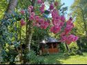 Holiday home Riverside house - beautiful nature: H(6) Zumberak - Continental Croatia - Croatia - flowers