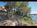 Apartments Danica - large terrace with sea view A1 Dana(4) Cove Zubaca (Vela Luka)  - Island Korcula  - Croatia - house