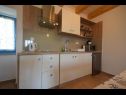 Apartments Insula Insule - rustic & peaceful: SA1(2+1), SA2(2+1) Skrbcici - Island Krk  - Studio apartment - SA2(2+1): kitchen