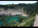 Holiday home Bernardica - on cliffs above sea: H(6+2) Vrbnik - Island Krk  - Croatia - vegetation