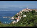 Holiday home Bernardica - on cliffs above sea: H(6+2) Vrbnik - Island Krk  - Croatia - vegetation