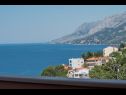 Apartments Ruze - 200 m from sea : A1(6+1), A2(8+1) Brela - Riviera Makarska  - Apartment - A2(8+1): view