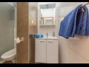 Apartments Ivi - 100 m from pebble beach: A1(2+2), A2(2+2), A3(2+2), A4(4+4), A5(2+2) Drasnice - Riviera Makarska  - Apartment - A3(2+2): bathroom with toilet