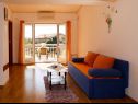 Apartments Biljana - 150m from beach: A1(2+1), A2(2+2), A3(5), A4(2+2) Gradac - Riviera Makarska  - Apartment - A4(2+2): living room